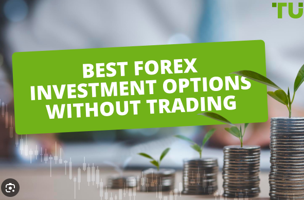 FXOpen review for beginners